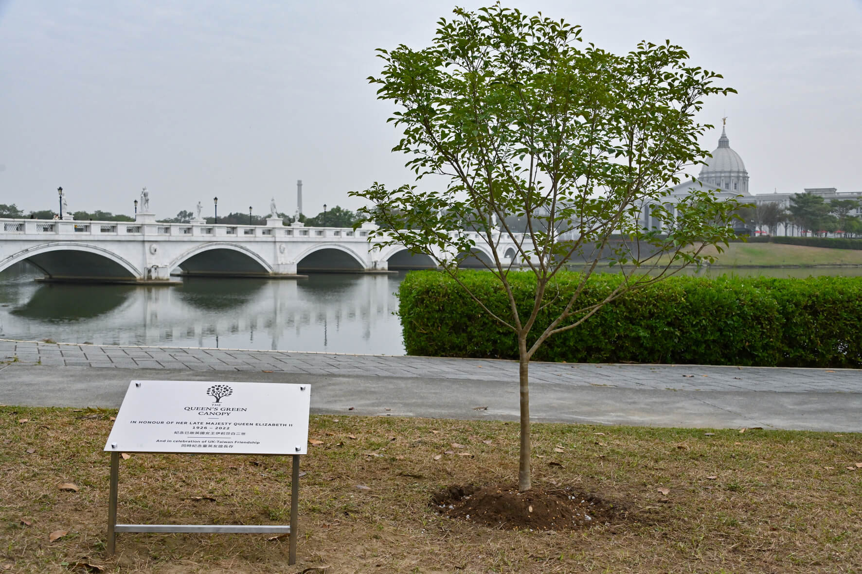​英國在台辦事處邀台南市政府 於奇美博物館攜手植樹  紀念已故英國女王伊莉莎白二世 呼應館內國際大展《時代的臉孔》