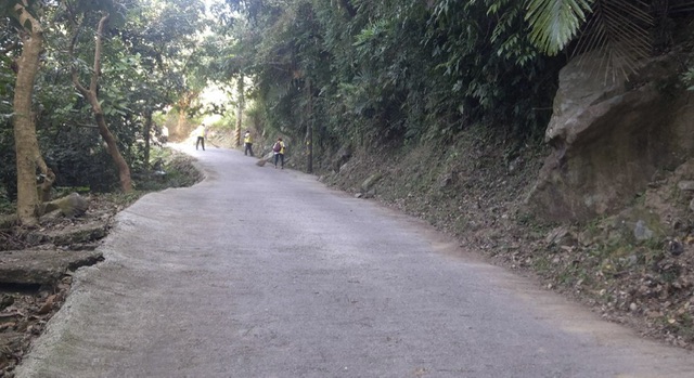冬陽初昇弘開烏山淨山行